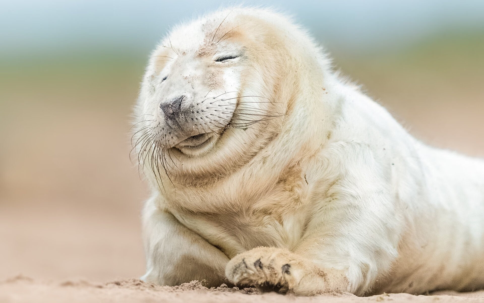 随机细节决定成败：运动员专注度的培养，运动员注意力