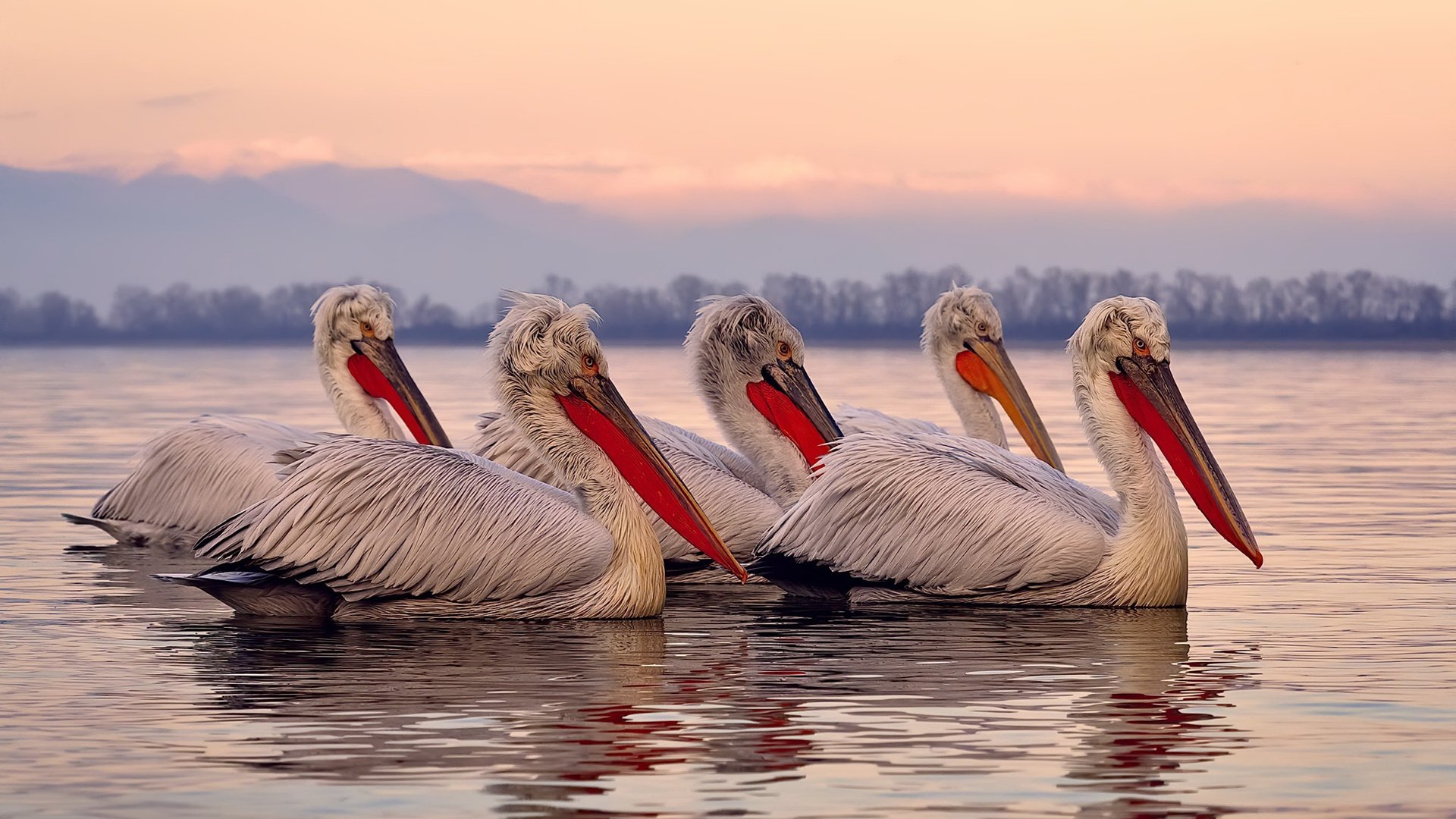 随机中超联赛推广校园足球，培养未来之星，中超联赛宣传片