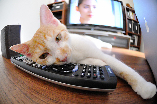 随机广东宏远季后赛战术调整见成效，广东宏远本赛季赛程安排