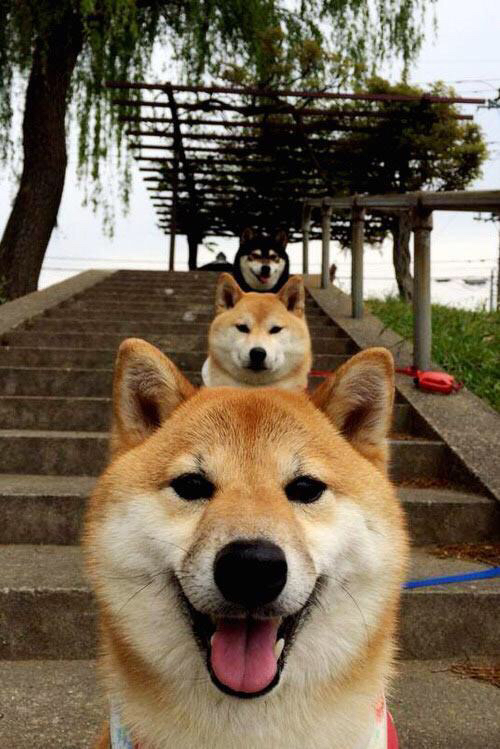 开云下载-扎马莱克计划举办青少年足球训练营，培养未来之星，扎马雷克足球俱乐部