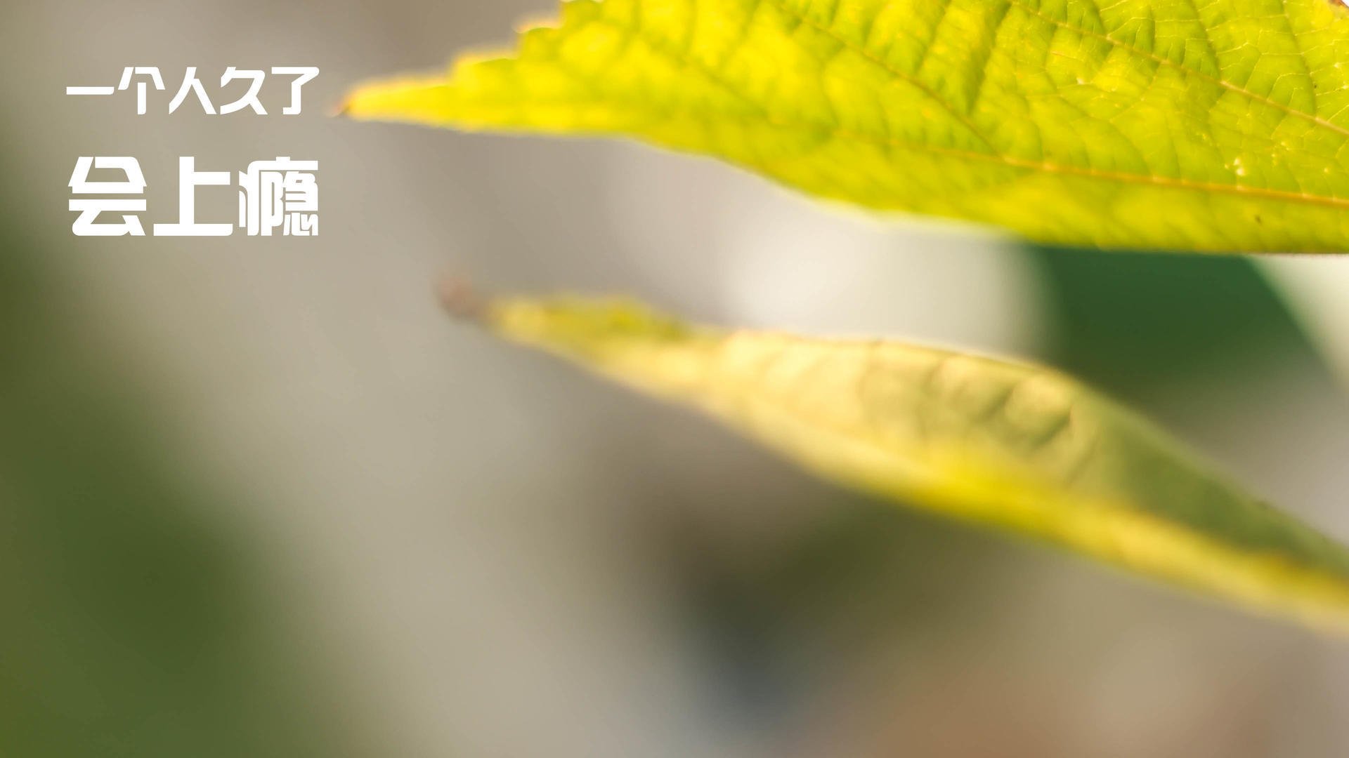 开云在线直播-法国中卫红牌+乌龙，成为焦点人物，法国中卫井喷