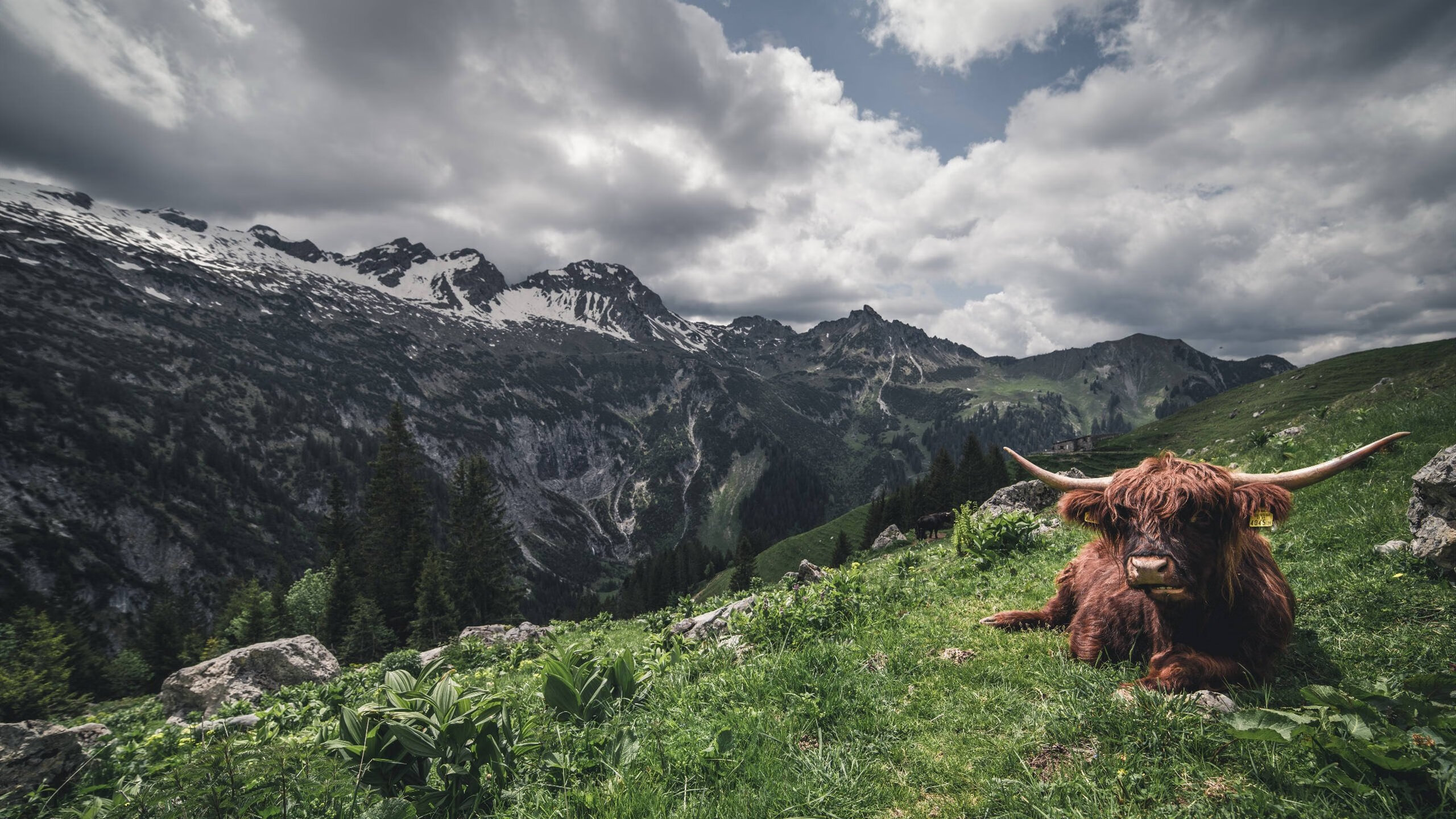 开云网页版-皇马主场2-0战胜西班牙人，继续领跑西甲积分榜，皇马客场1-2输西班牙人
