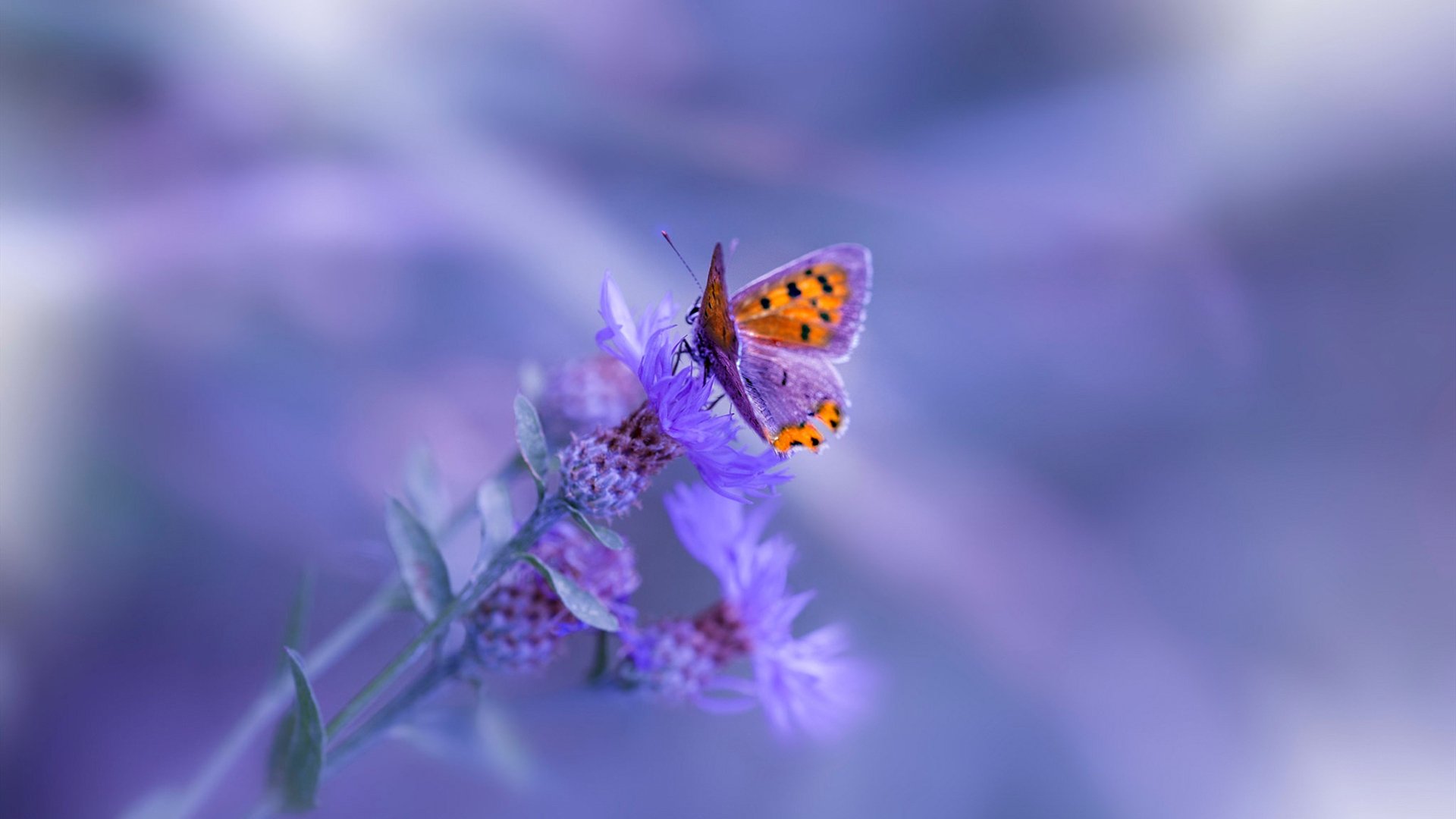 开云·Kaiyun网页版-莱加内斯遭遇连败，争分厮杀手足无力，莱加内斯球员名单