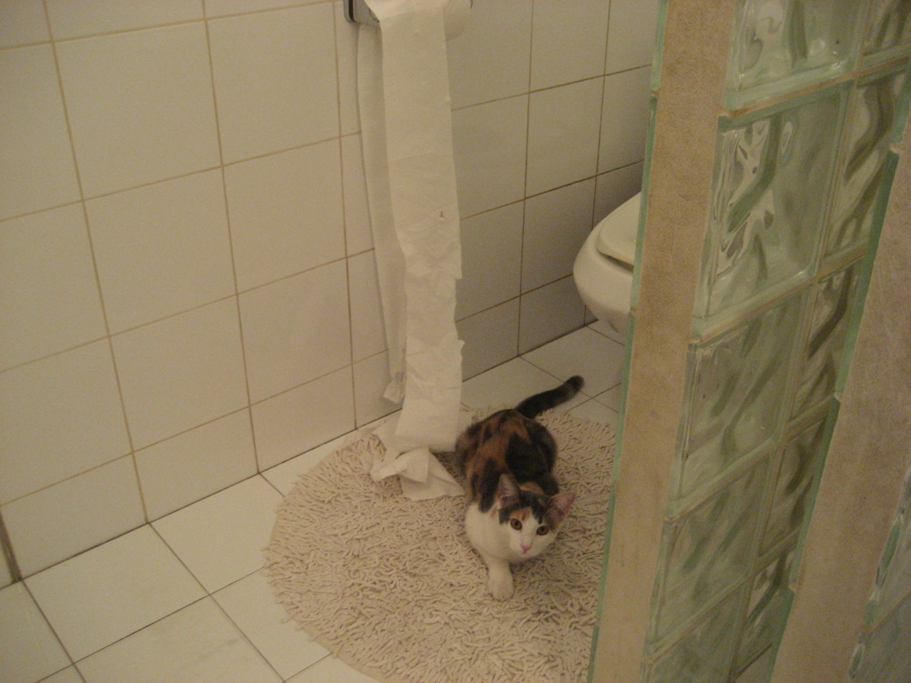 开云体育视频直播-NBA球队防守体系优化研究,nba防守能力