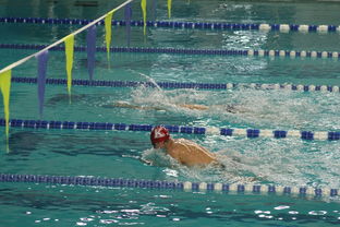 开云官方-世界青少年游泳接力锦标赛中国队强势出击，世界游泳锦标赛接力决赛