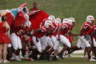 开云官网APP下载-青少年体育参与行为及其影响机制探讨，青少年体育参与行为及其影响机制探讨论文