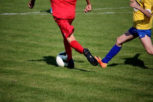 开云·体育全站登录地址-“拳王争霸：四川省体育馆拳击赛将诞生新的世界拳王”