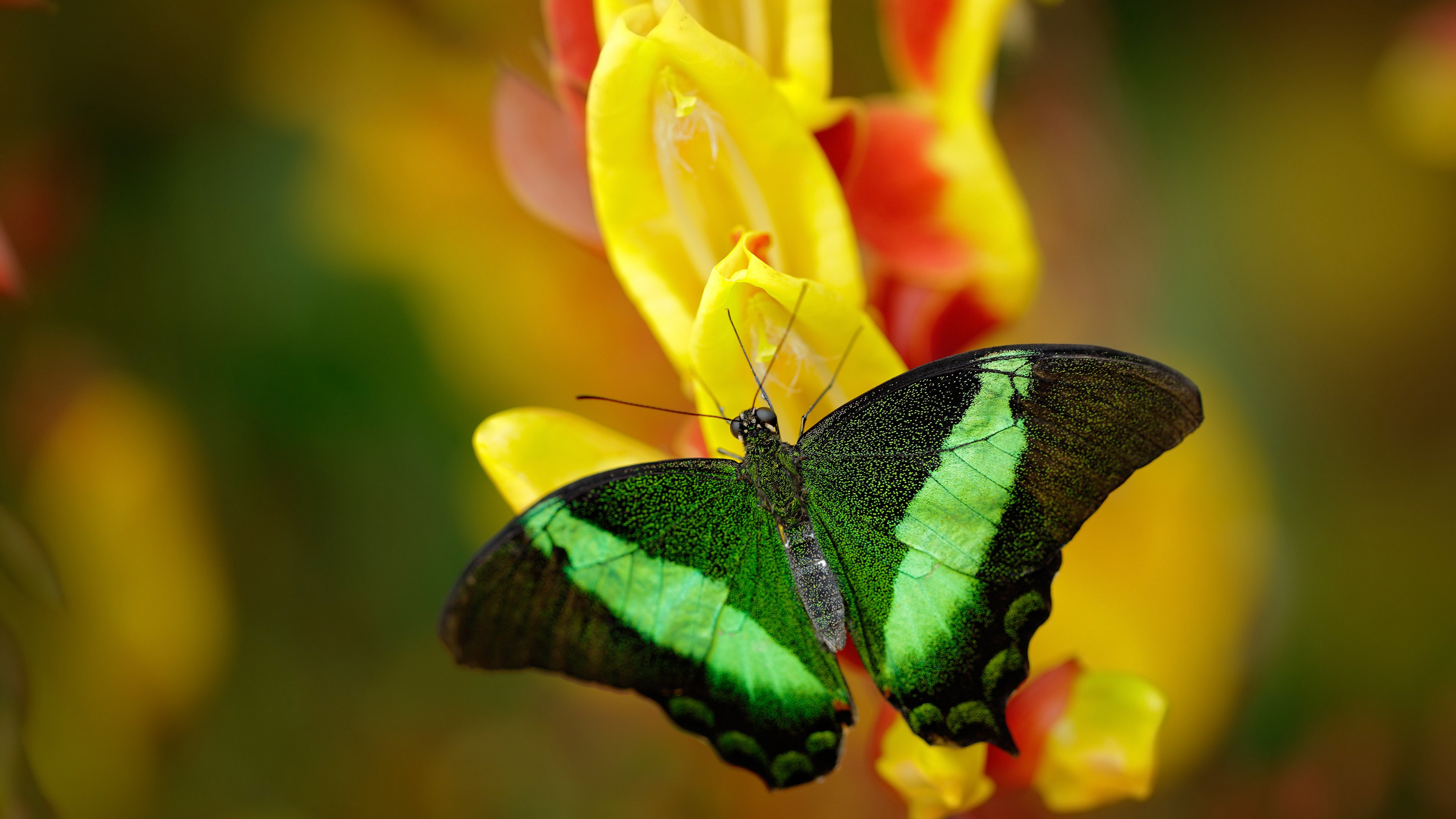 开云体育视频直播-博卡锋线不够果断，临门一脚欠缺，博卡官方网站