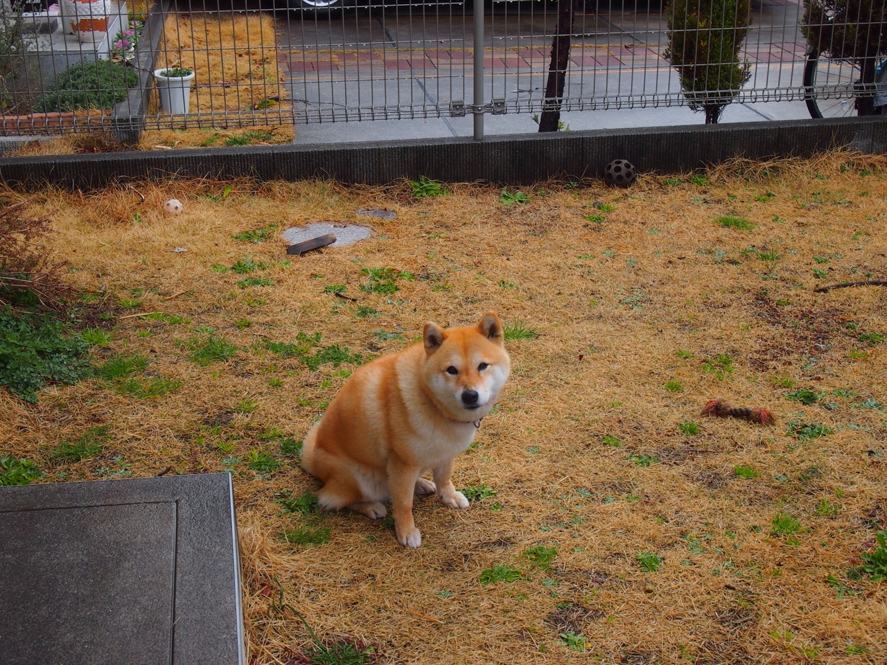 开云官方网页登录-勒沃库森长短结合传球构建破防体系，勒沃库森培养的球星