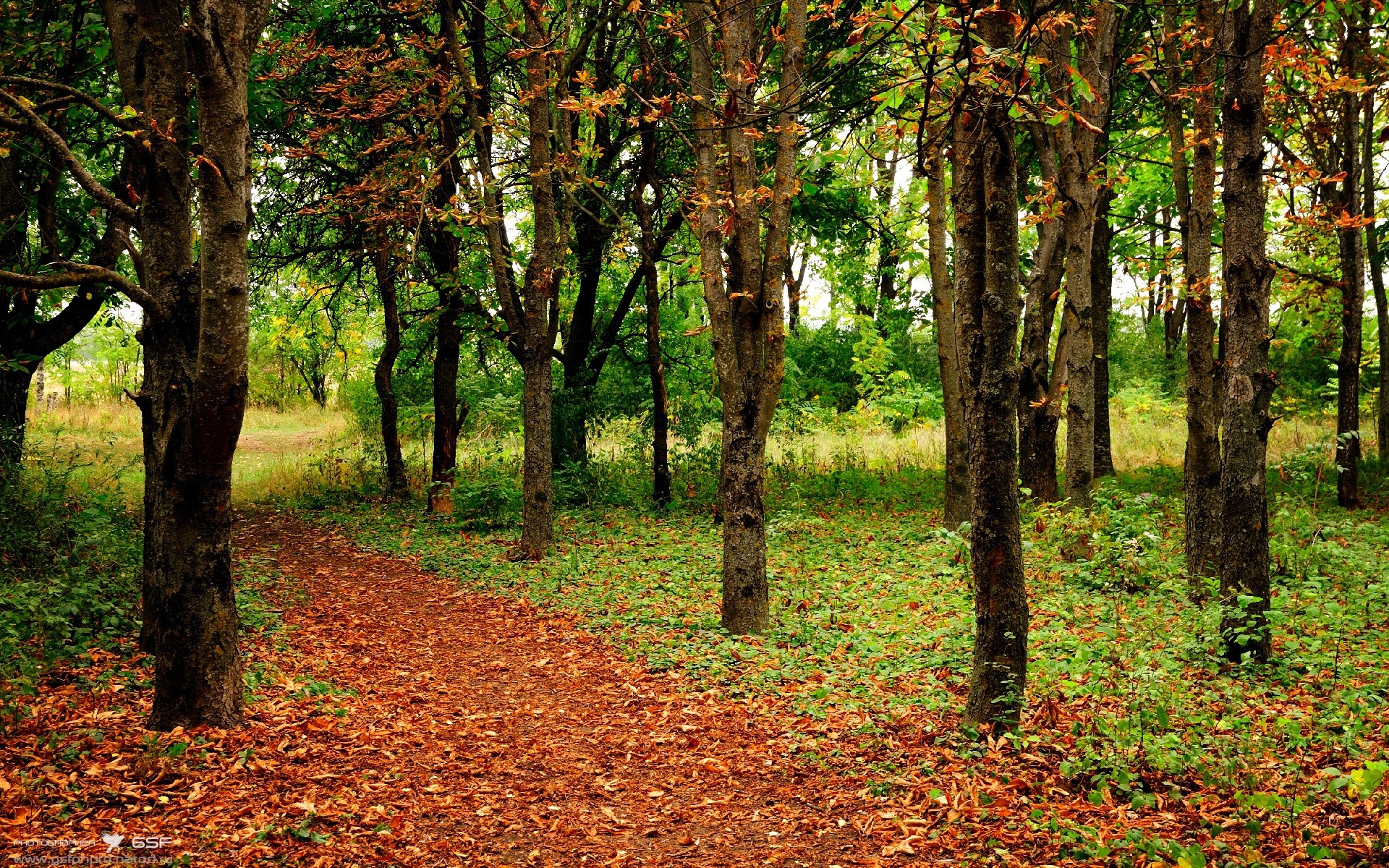 Kaiyun官方登录入口-赛季前热身赛状态观察报告，赛前热身运动