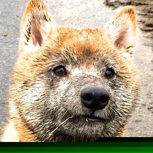 Kaiyun APP-防守轮转换位效率联盟排名