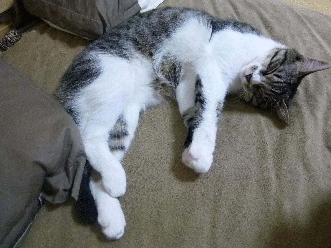 开云体育网页版入口-C罗赛后怒斥裁判世界杯小组赛，c罗赛后怒斥裁判世界杯小组赛视频