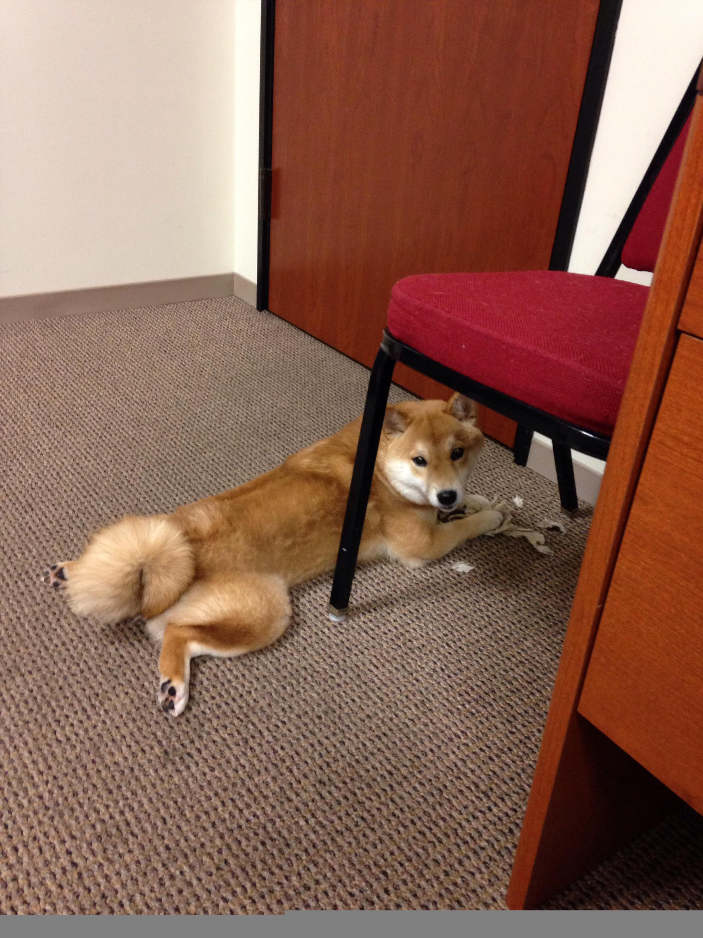 开云·体育全站登录地址-德甲攻守兼备：效率与战术的完美结合！，德甲的主张